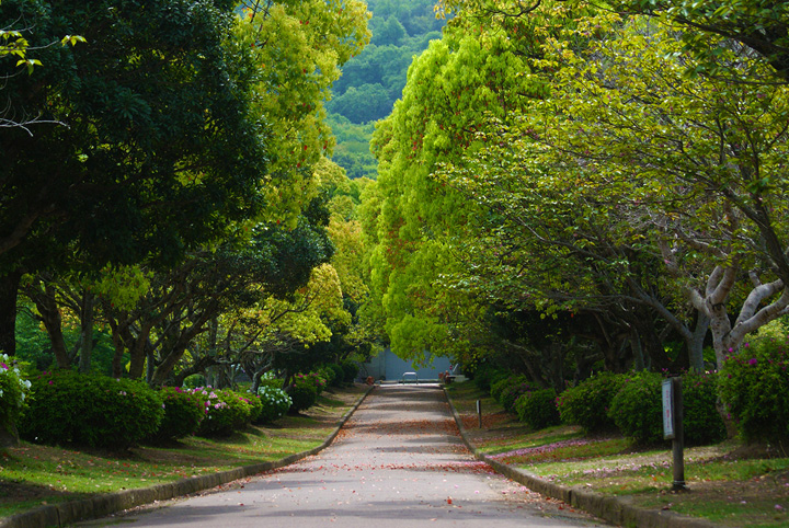 紀伊風土記の丘